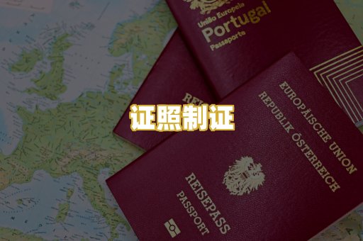 证照制证